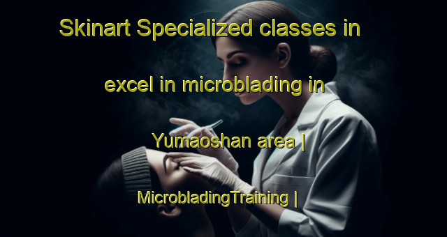 Skinart Specialized classes in excel in microblading in Yumaoshan area | MicrobladingTraining | MicrobladingClasses | SkinartTraining-China